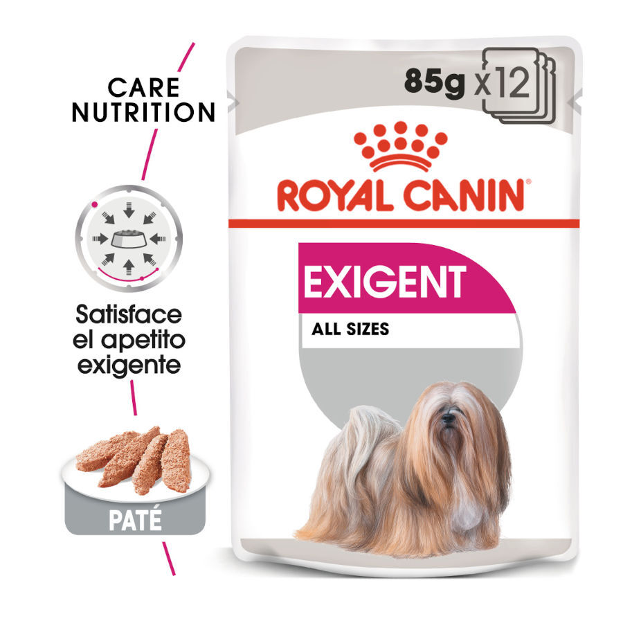 85 g Royal Canin Exigent pat&eacute; sobre para perros, , large Imagen numero 2